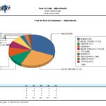 Graphic-Year-to-Date-by-Insurance-Adjustments_Lg-150x150